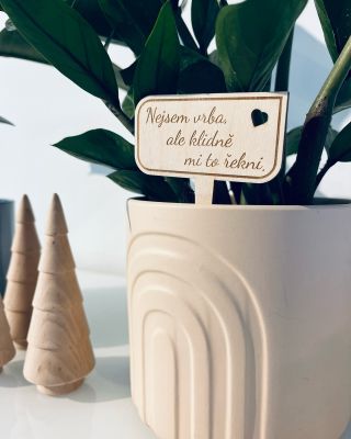 Blbý kecy do kytky…🪴 Omlouvám se,ale na výstižnější název těchto zápichů jsem nepřišla 😂 a vlastně se mi to líbí. Je to...